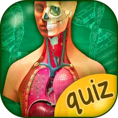 人体解剖学クイズゲーム アプリダウンロード