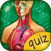 Quiz De Anatomía Del Humano