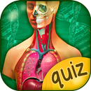 Anatomie Humaine Quiz APK