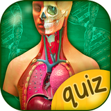 Anatomie Humaine Quiz