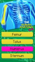 Menselijke Anatomie Quiz-poster