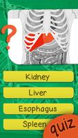 人體解剖學關於人體器官的測驗 截圖 1