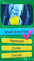 Quiz De Anatomía Del Humano captura de pantalla 2