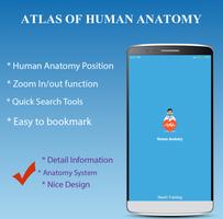 Human Anatomy পোস্টার