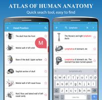 Human Anatomy Ekran Görüntüsü 2