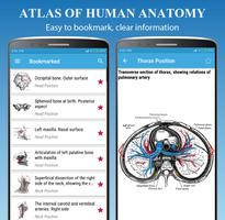 Human Anatomy 스크린샷 3