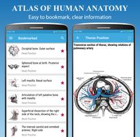 Human Anatomy скриншот 3