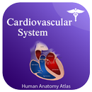 Cardiovascular Anatomy Atlas APK