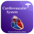 Cardiovascular Anatomy Atlas icône