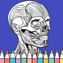 Human Anatomy Coloring Book APK