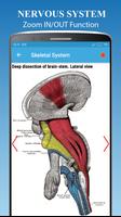 Nervous System اسکرین شاٹ 3