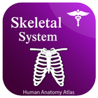 Skeletal System icon