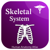Skeletal System icon