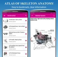 Skeletal System screenshot 3