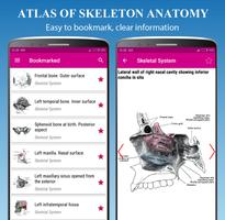 Skeletal System capture d'écran 3