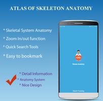 Skeletal System poster