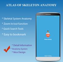 Skeletal System Affiche