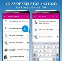 Skeletal System screenshot 2
