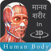 Human Body 3D AR मानव शरीर 3D में
