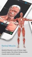 Human Body 3D AR मानव शरीर 3D में screenshot 1