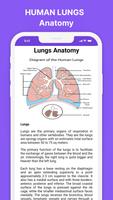 Human Body Systems & Organs poster