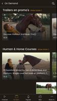 Human & Horse Academy スクリーンショット 2