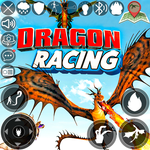 Flying Dragon Race Simulator icon