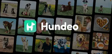 Hundeo - Puppy & Dog Training