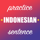 Indonesian Sentence Practice APK