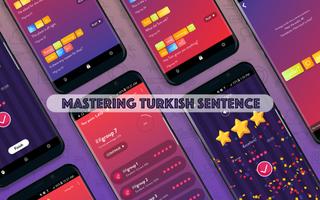 Turkish Sentence Practice постер