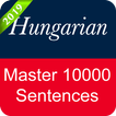 Hungarian Sentence Master