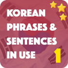 Korean Sentence In Use 아이콘