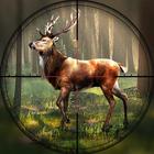 Wild Hunting Clash icône