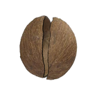 Coconut Simulator 图标