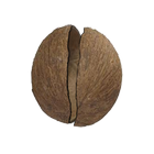 Coconut Simulator icon