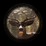 Animal Hunting Sniper Game 3D
