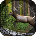 Kill the Deer