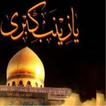 Hazrat Zainab(a.s)Quiz ikona