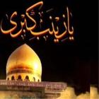 Hazrat Zainab(a.s)Quiz icône