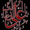 Imam Ali(a.s)Quiz APK