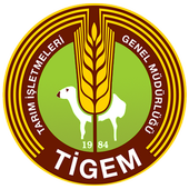 Tigem Veri icon