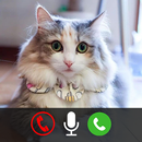 Sevimli Kediler Sahte Çağrı APK