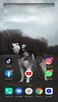برنامه‌نما Husky Wallpaper full hd عکس از صفحه