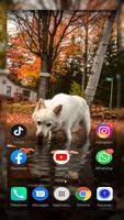 برنامه‌نما Husky Wallpaper full hd عکس از صفحه