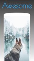 Husky Dog Wallpapers HD 4k Cartaz