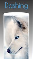 Husky Dog Wallpapers HD 4k captura de pantalla 1