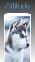 Husky Dog Wallpapers HD 4k captura de pantalla 2