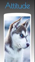 Husky Dog Wallpapers HD 4k imagem de tela 2