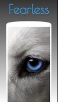 Husky Dog Wallpapers HD 4k imagem de tela 3
