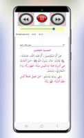 አርበኢን ሀዲስ በድምፅ স্ক্রিনশট 3